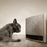 Thumbnail of post image 024